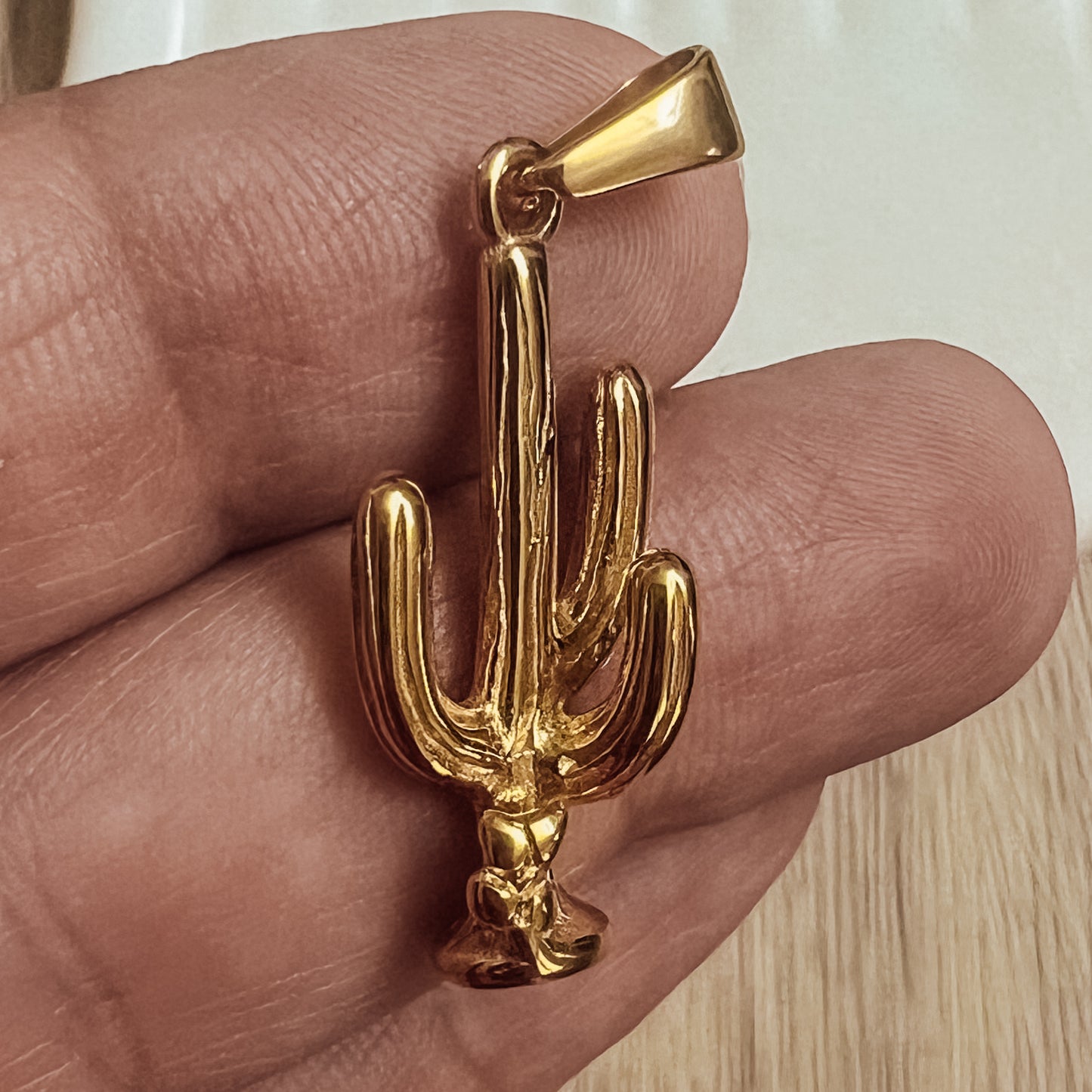 Cactus Charm