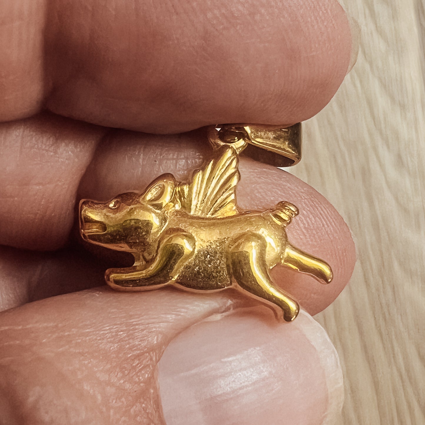 “When Pigs Fly” Charm