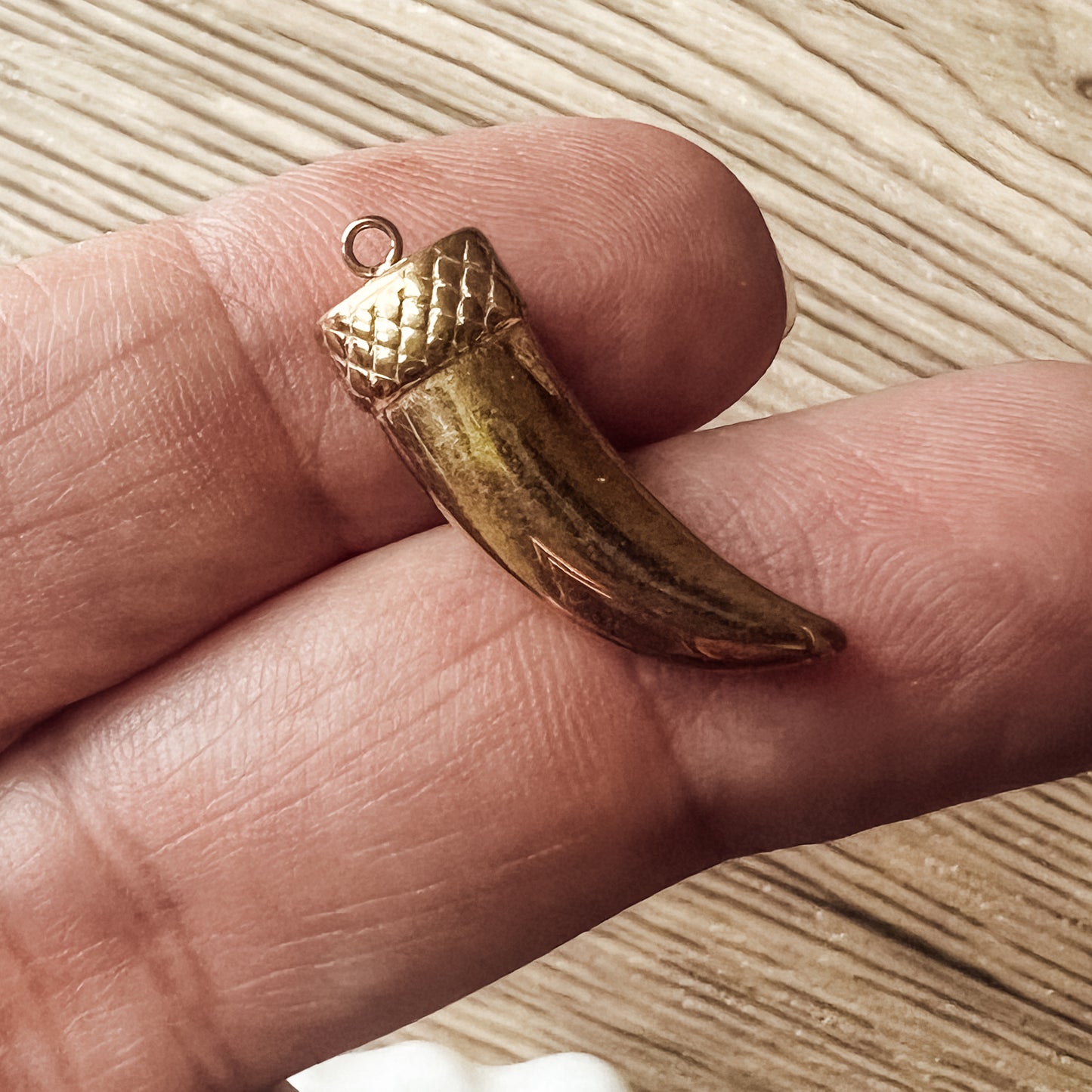 Colmillo de la Suerte Charms